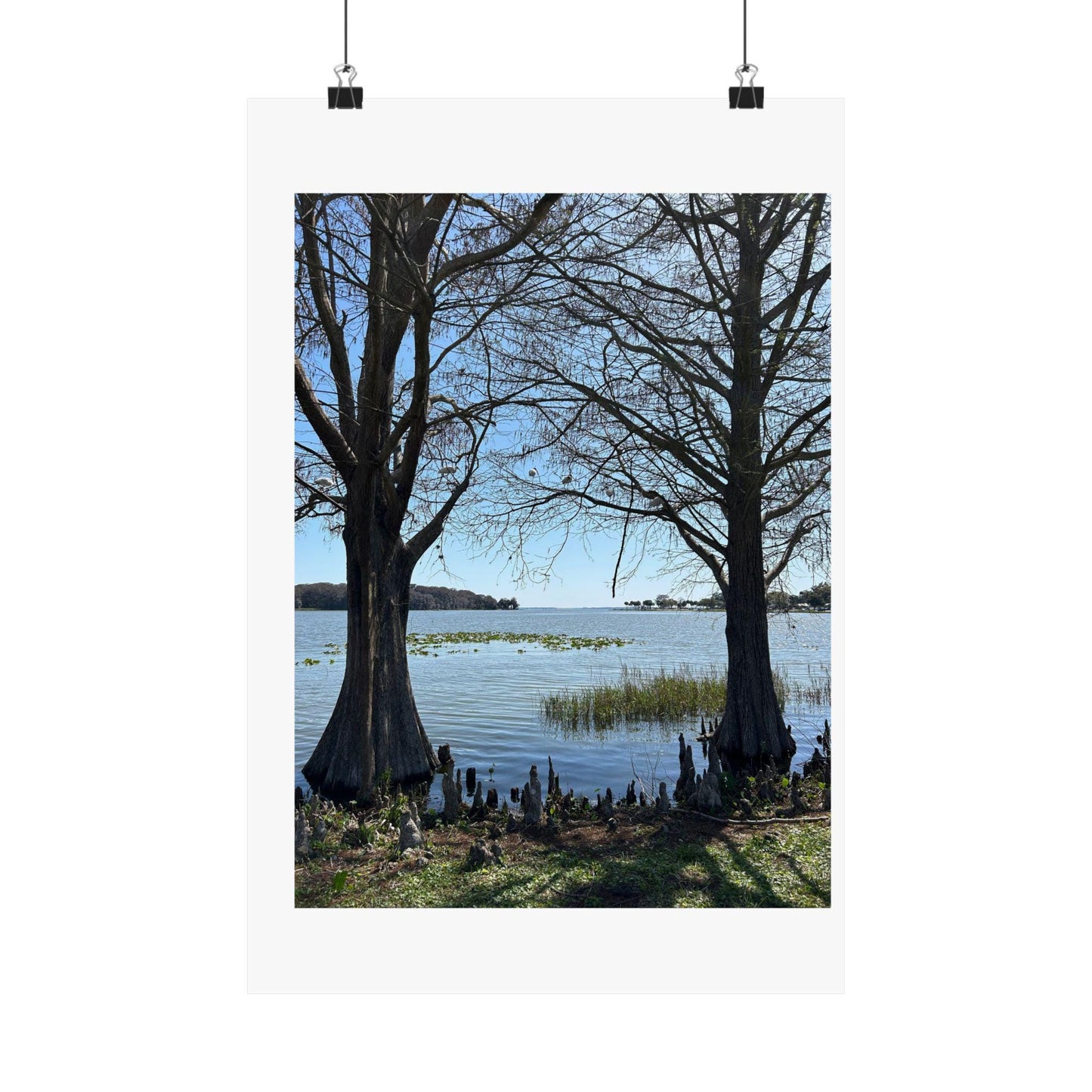 Lake through the cypress trees Matte Vertical Posters