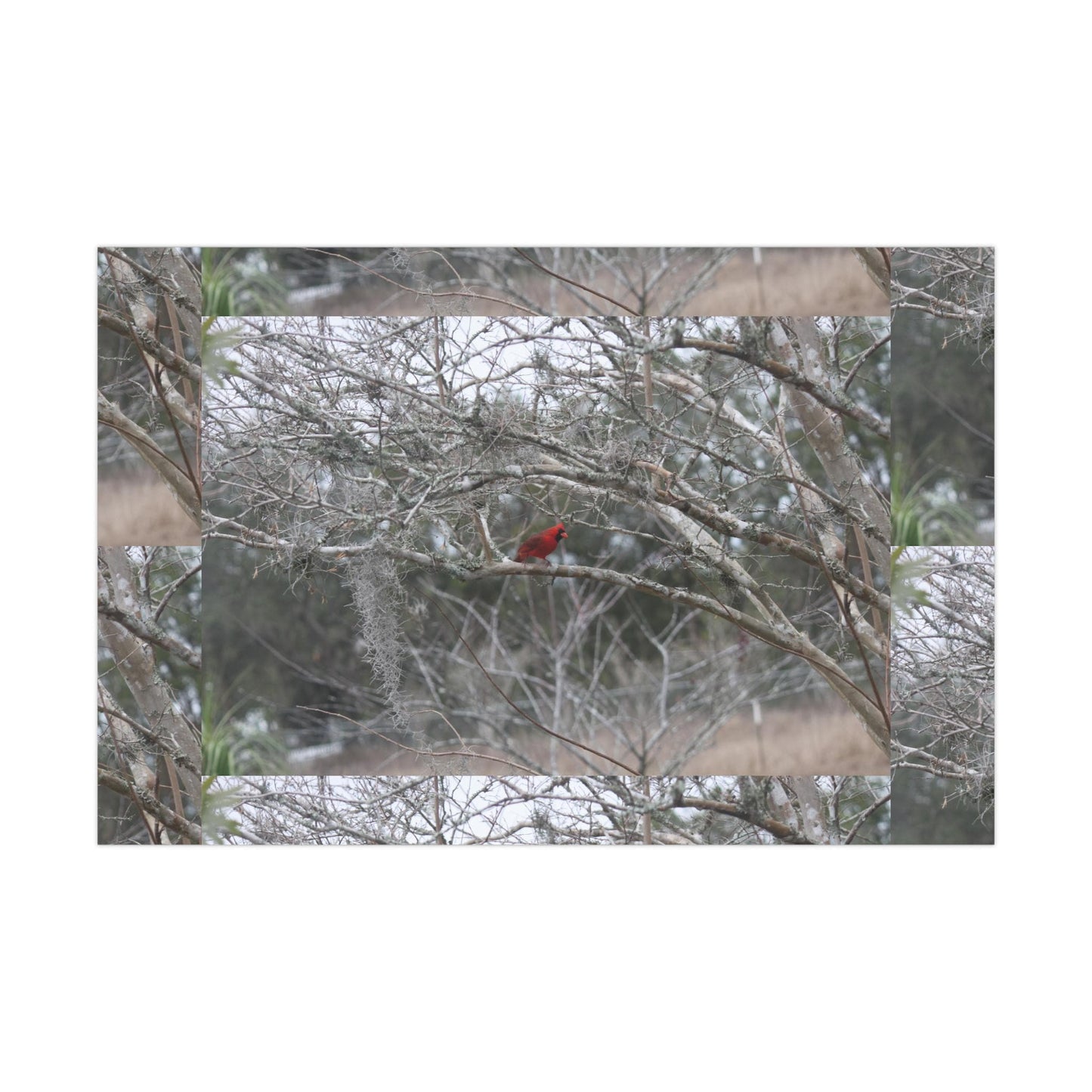 Bright male Cardinal Gift Wrap Papers