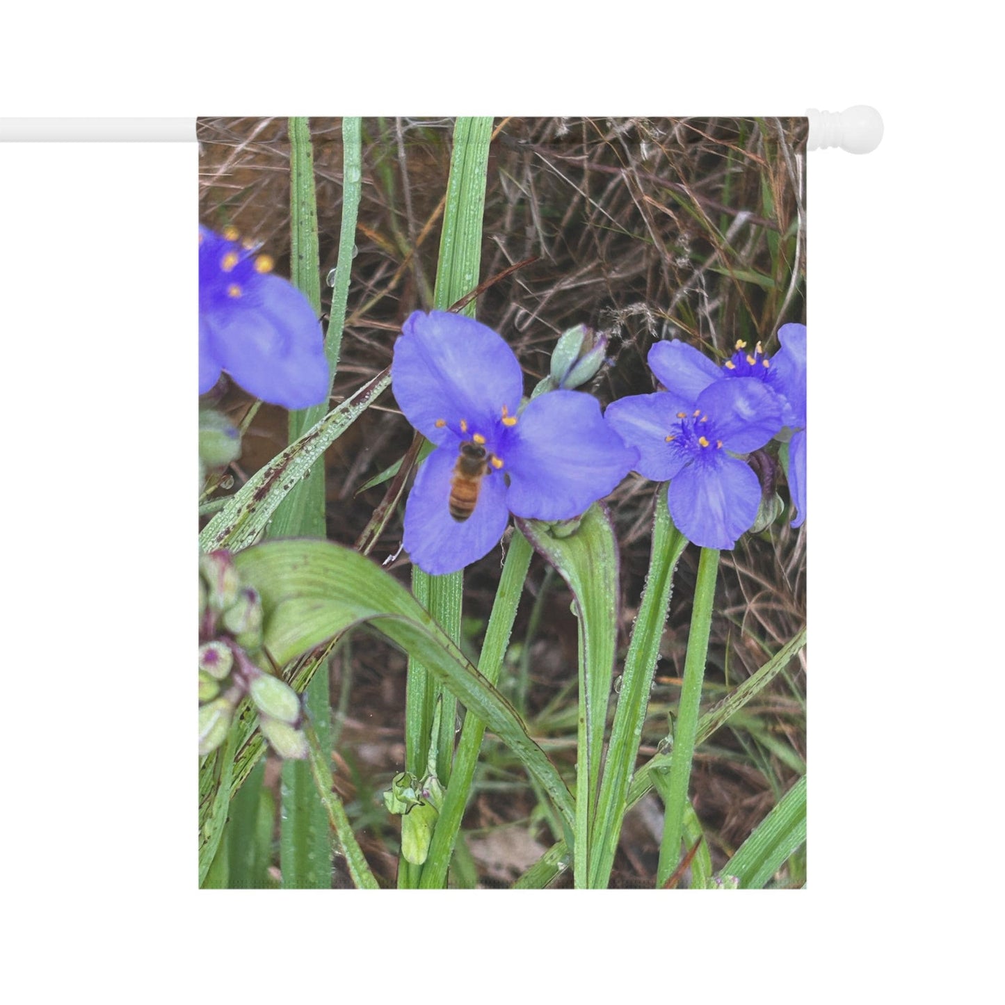 Spiderwort wild flower Garden & House Banner