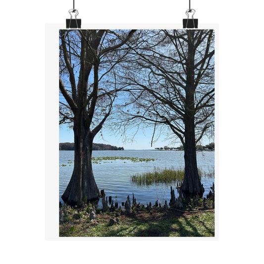 Lake through the cypress trees Matte Vertical Posters